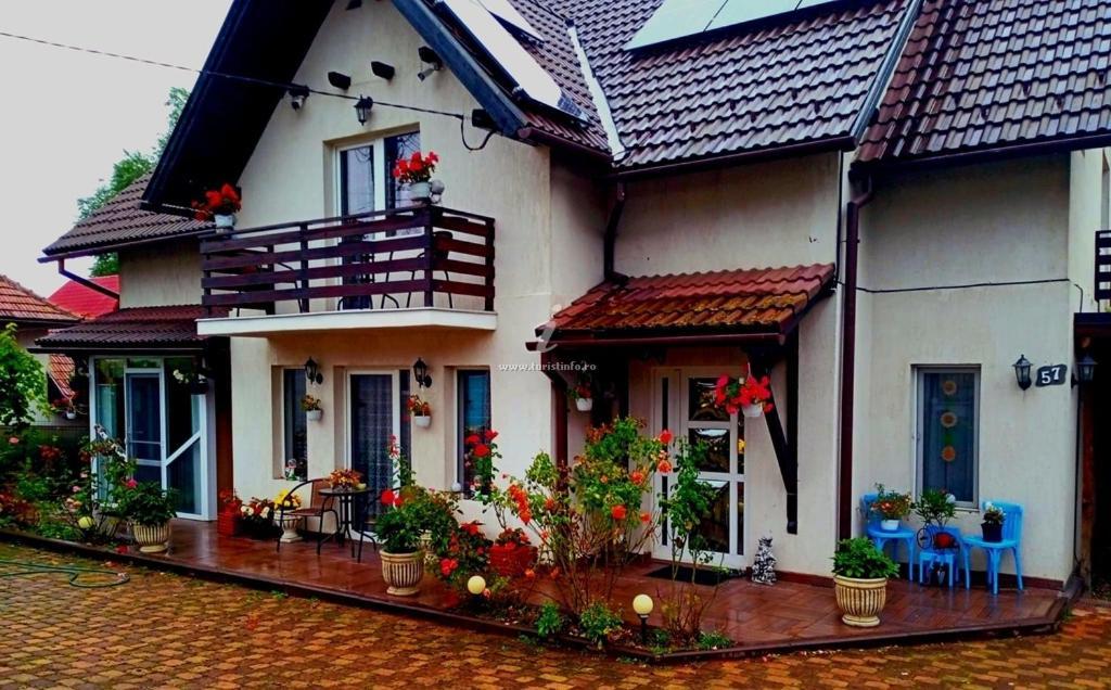 Апартаменты Edelweiss Ilinca Зэрнешти Экстерьер фото