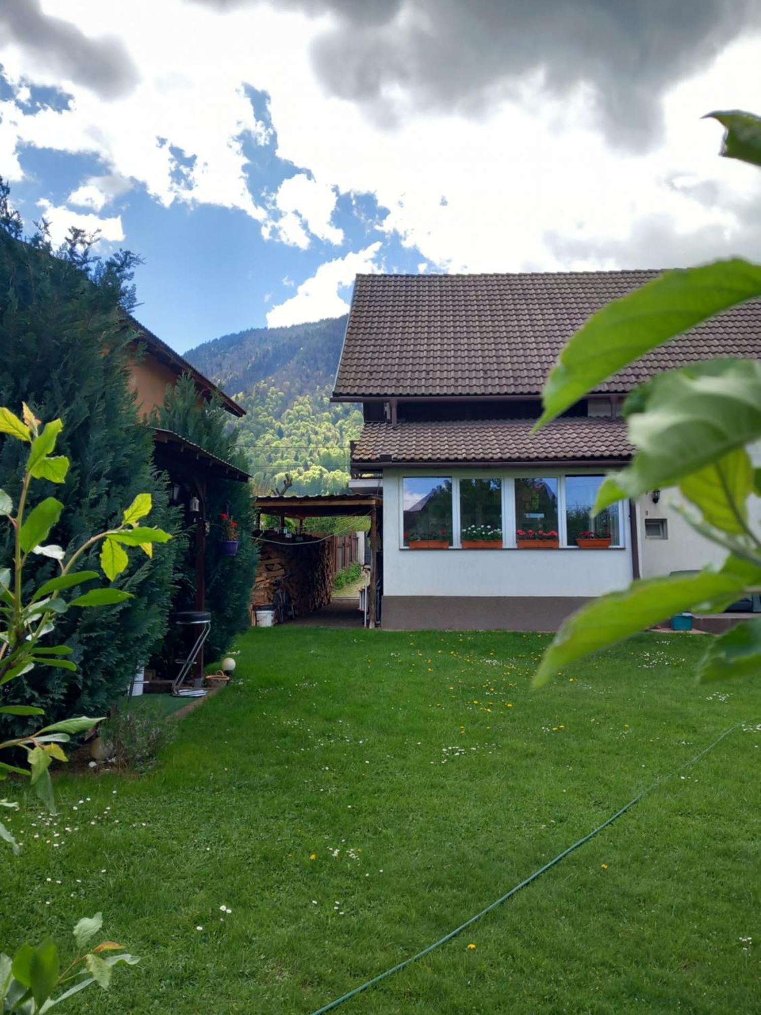 Апартаменты Edelweiss Ilinca Зэрнешти Экстерьер фото